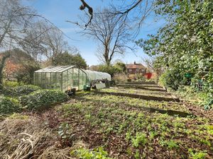 Garden- click for photo gallery